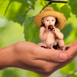 Fotografie dítěte sedícího v ruce, které jí ovoce či zeleninu.